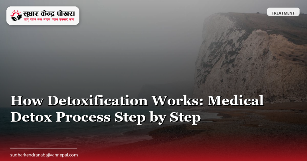 How Detoxification Works: Medical Detox Process Step by Step