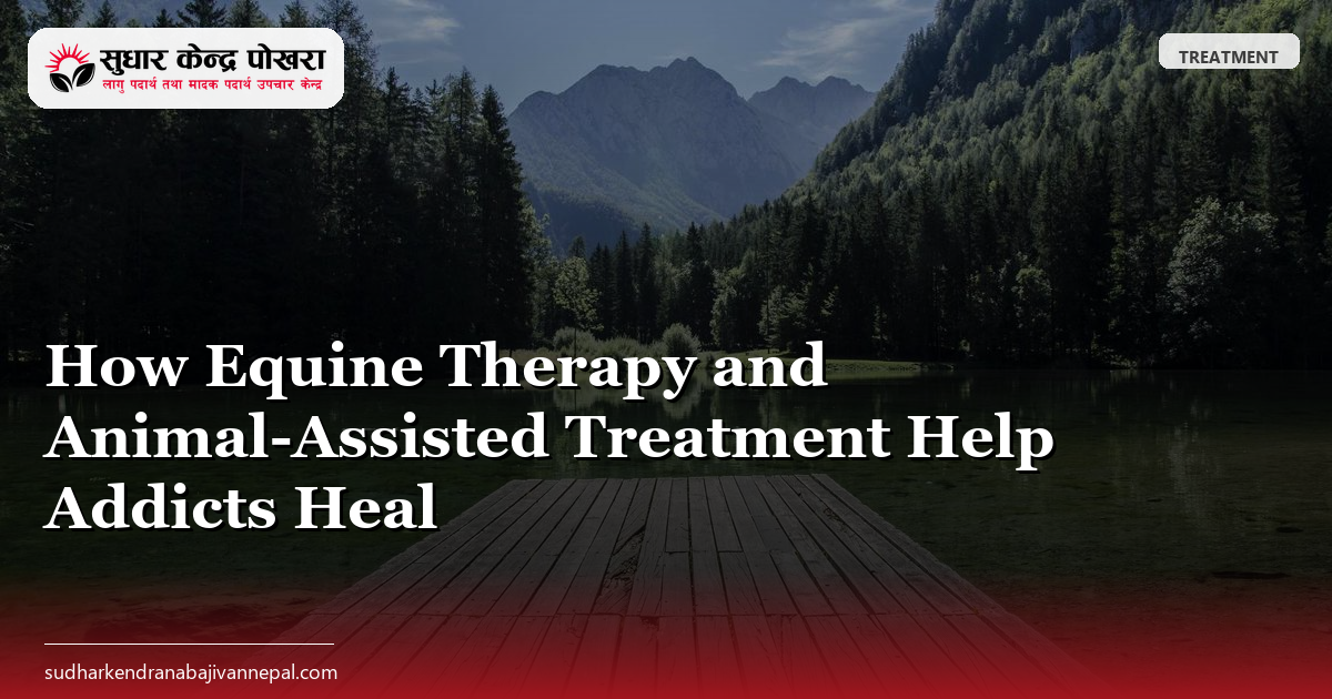 How Equine Therapy and Animal-Assisted Treatment Help Addicts Heal